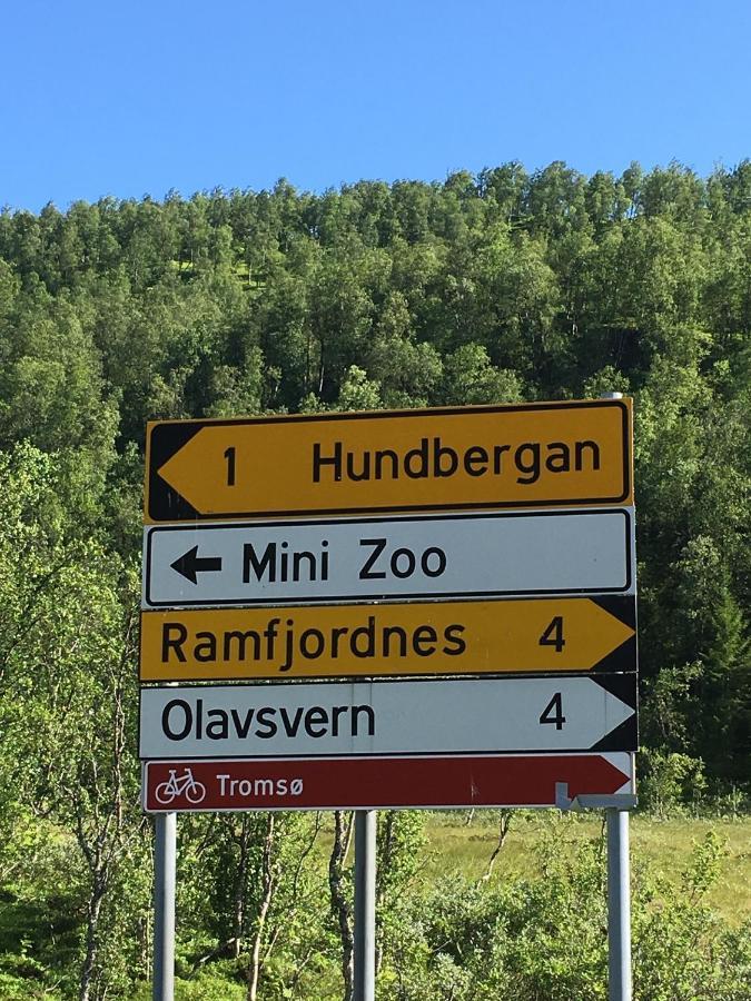 Hundbergan Apartment-Free Parking-15 Min From Tromso Tromsdalen Exteriör bild