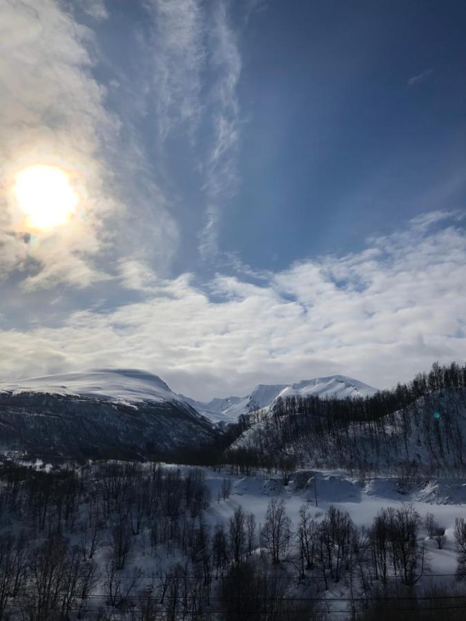 Hundbergan Apartment-Free Parking-15 Min From Tromso Tromsdalen Exteriör bild